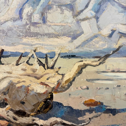 Έργο τέχνης Α. Βακιρτζής μεταχειρισμένο σε κορνίζα