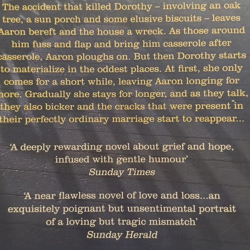 The Beginner's Goodbye by Anne Tyler