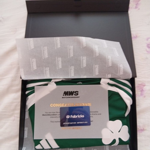 Panathinaikos FC 2025/26 Home Jersey Large Signed Match Worn Palmer-Brown