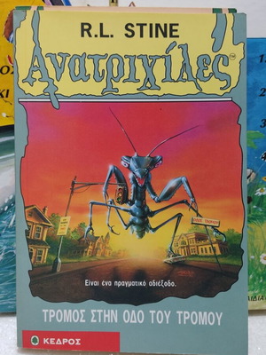 Goosebumps book like new