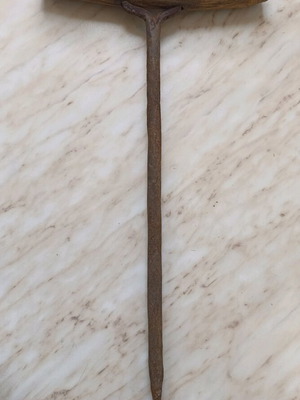 Large auger drill for trunks used