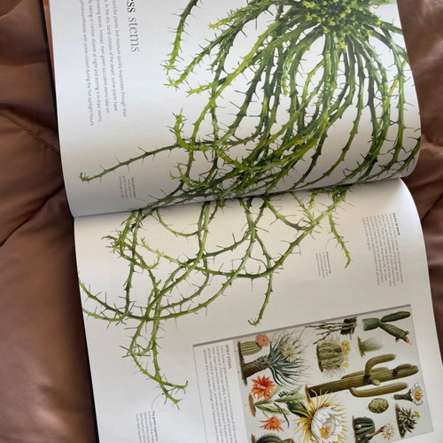 The Science of Plants book new, coffee table, English