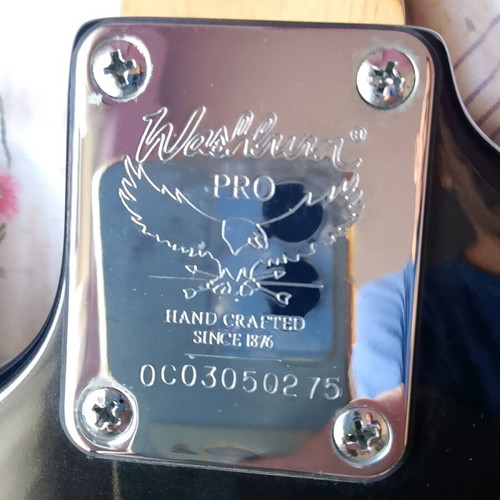 Washburn Pro handmade guitar like new