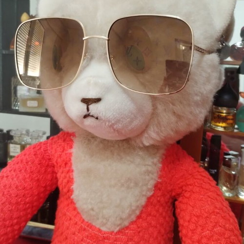 Sunglasses like new