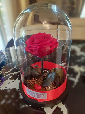 Forever Rose Το Τριαντάφυλλο που Διαρκεί για Πάντα σαν καινούργιο σε γυάλινο θόλο