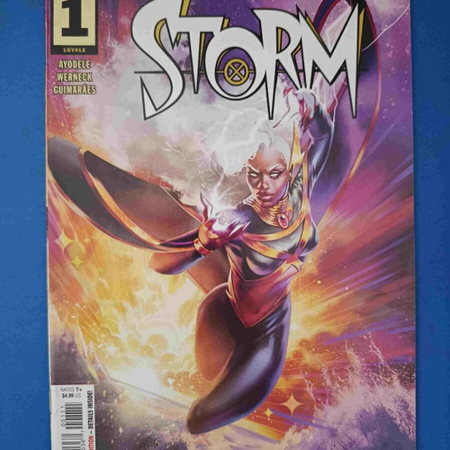Storm Vol 4 (2024) 1 comic used