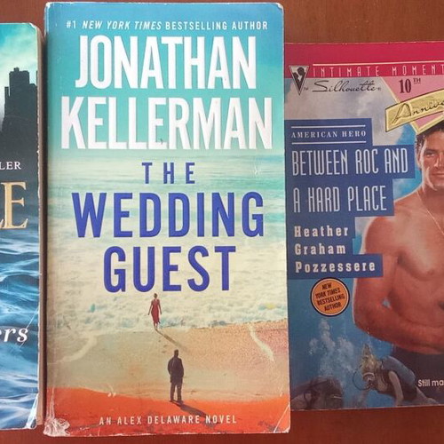Rushing Waters, The Wedding Guest, Between Roc and a Hard Place books used, English