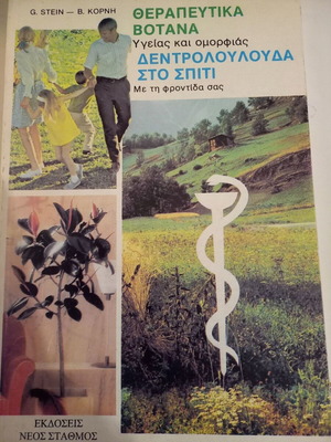 Θεραπευτικά βότανα υγείας και ομορφιάς μεταχειρισμένα, δεντρολούλουδα στο σπίτι