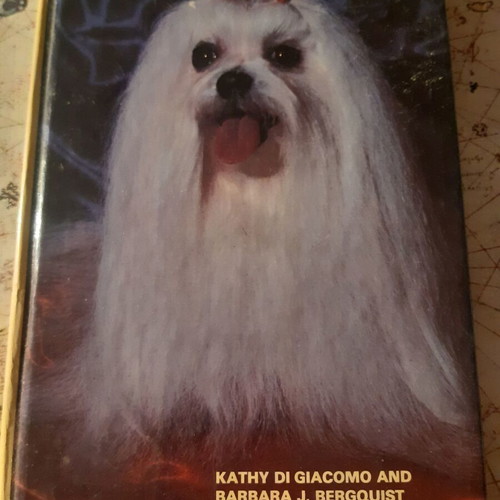 Maltese book like new, hardcover, English