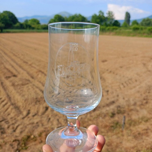 Fisher 6 beer glasses like new