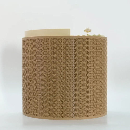 Spiral Luxe Premium Jewelry Box new, 3D printed with dual color design