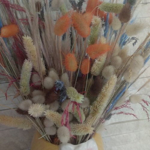Vase with various plants new