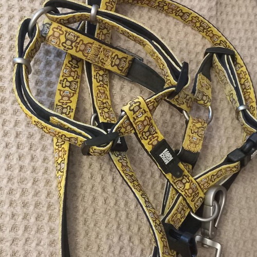 Max and Molly dog harness and leash like new, size M