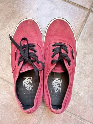 Vans μπορντο 37