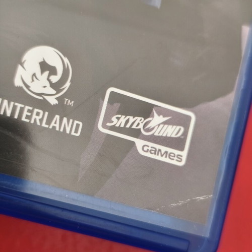 The Long Dark PS4 game