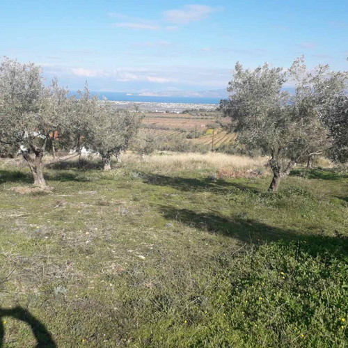 Land plot 220 sqm with 13-meter road frontage, Panorama Zegolatio location