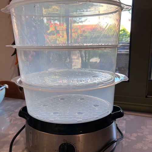 Vicko steamer like new