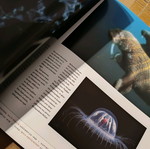 Βιβλίο National Geographic σαν καινούργιο με πλούσιο φωτογραφικό υλικό