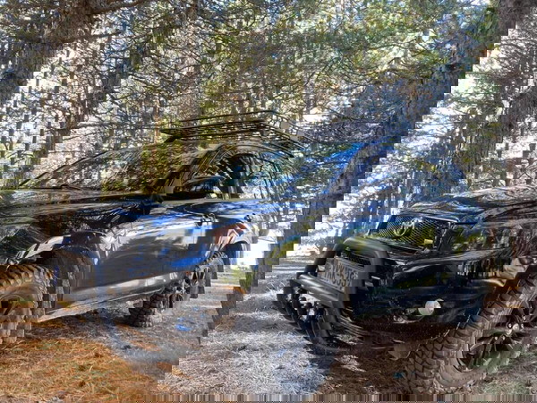 Ζαντολάστιχα για RAV4