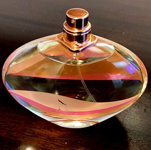 Eau de parfum Elizabeth Arden 100 ml