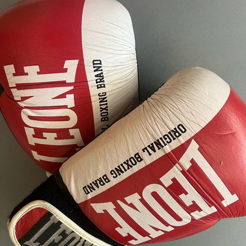 Muay Thai/kickbox equipment used with gloves and knee pads