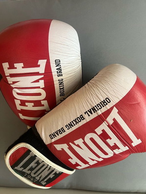 Muay Thai/kickbox equipment used with gloves and knee pads