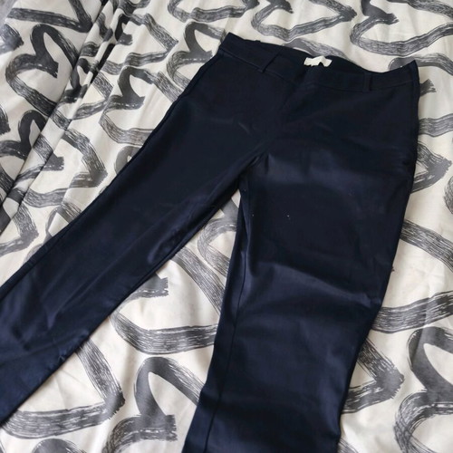 H&M women's blue pants satin texture five-pocket size L like new