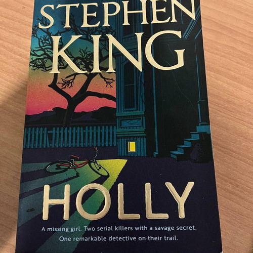 Holly book by Stephen King like new, horror, English