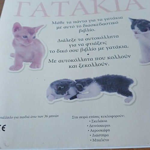 Kittens sticker book