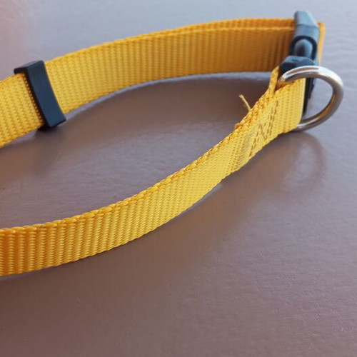 Glee Adjustable Yellow Pet Collar like new