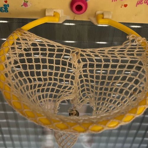 My Bibi-bo Basketball Hoop used