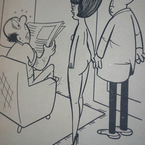 Comic book used with 66 erotic cartoons and handwritten translation