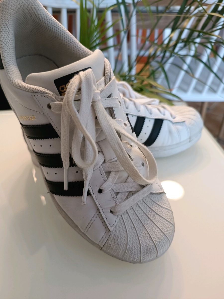 Adidas discount superstar 37.5