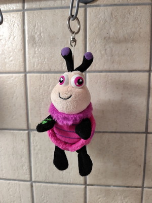 Keychain used