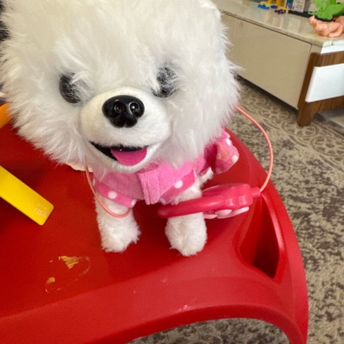 Dog toy used