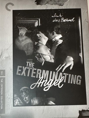 The Exterminating Angel DVD like new with English subtitles