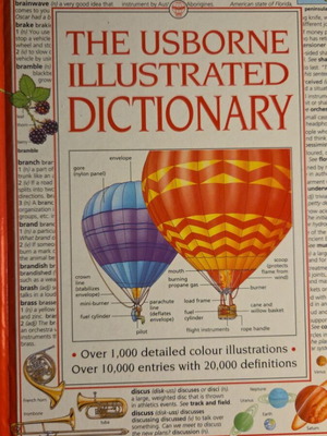 The Usborne Illustrated Dictionary hardcover like new, English
