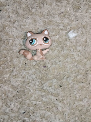 Littlest Pet Shop authentic tan raccoon with teal green eyes like new