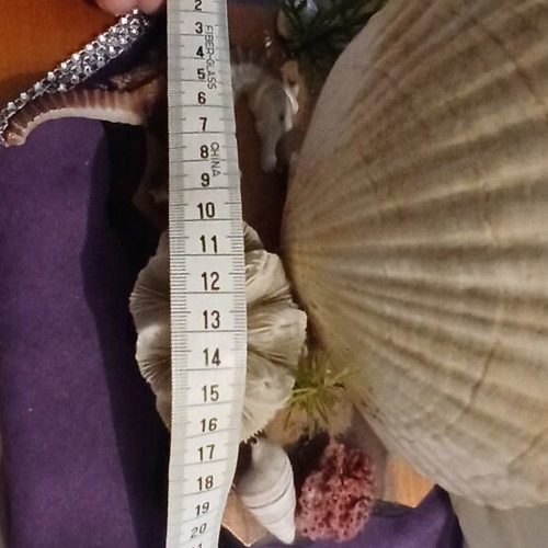 Decorative lamp with seashells from Aruba, vintage