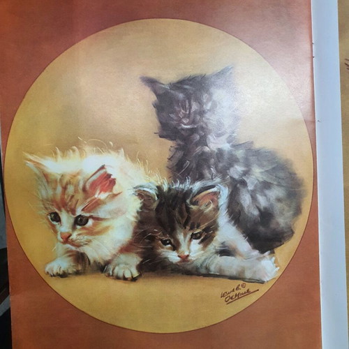 How to Draw Cats and Kittens book used