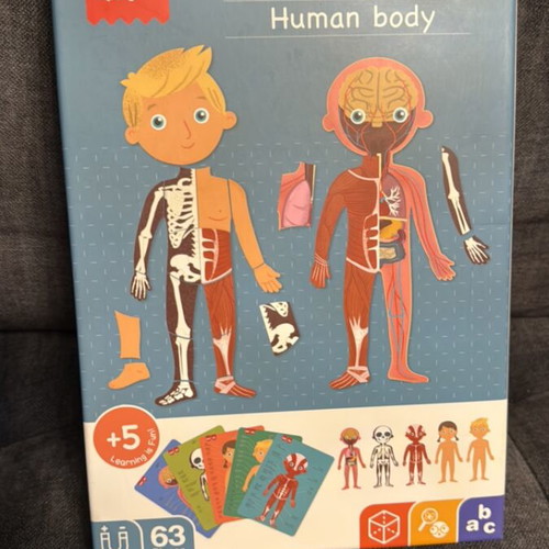 Apli Kids Magnetic Human Body Educational Game new