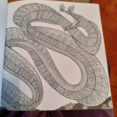 Fish coloring book used