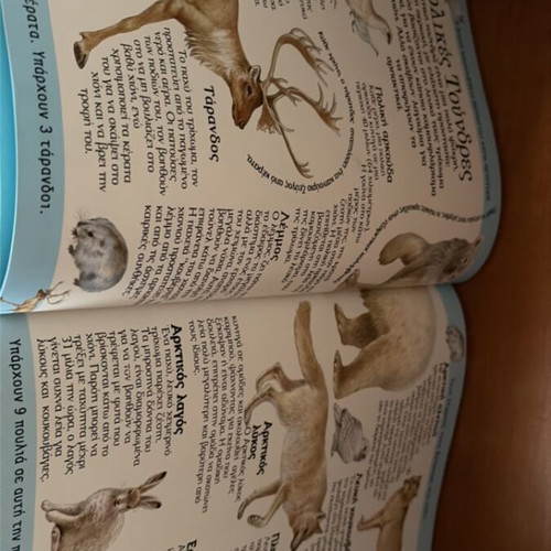 Metamfiesmena Zoa children's book