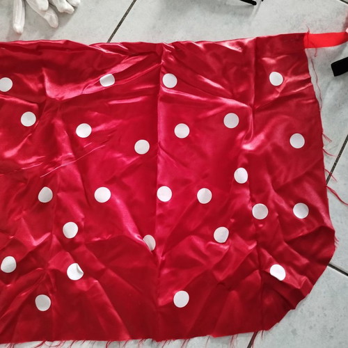 Carnival costume Diavolina used
