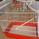 Birdcage with accessories