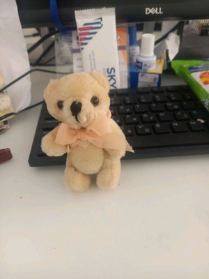 Plush teddy bear new for play and decoration