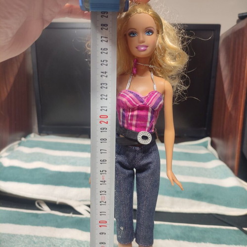 Barbie Country Rock 2009 doll used, missing accessories