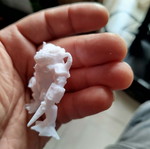 Beast Frog figure new