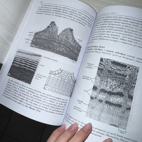 Botany university textbook new