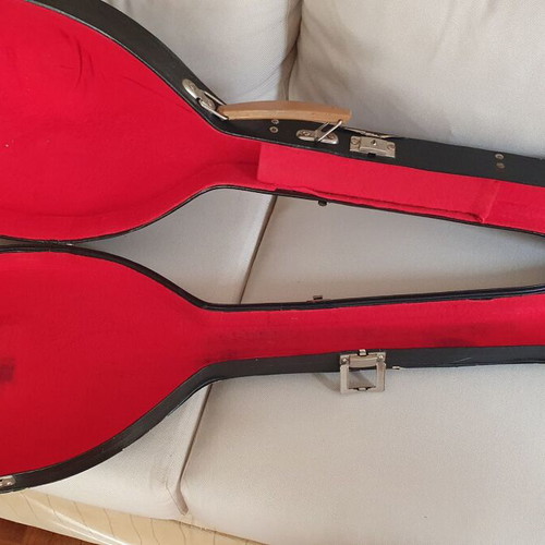 Bouzouki 8-string professional used with case